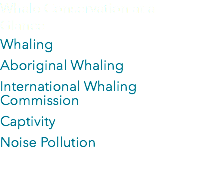 Whale Conservation at a Glance Whaling Aboriginal Whaling International Whaling Commission Captivity Noise Pollution 